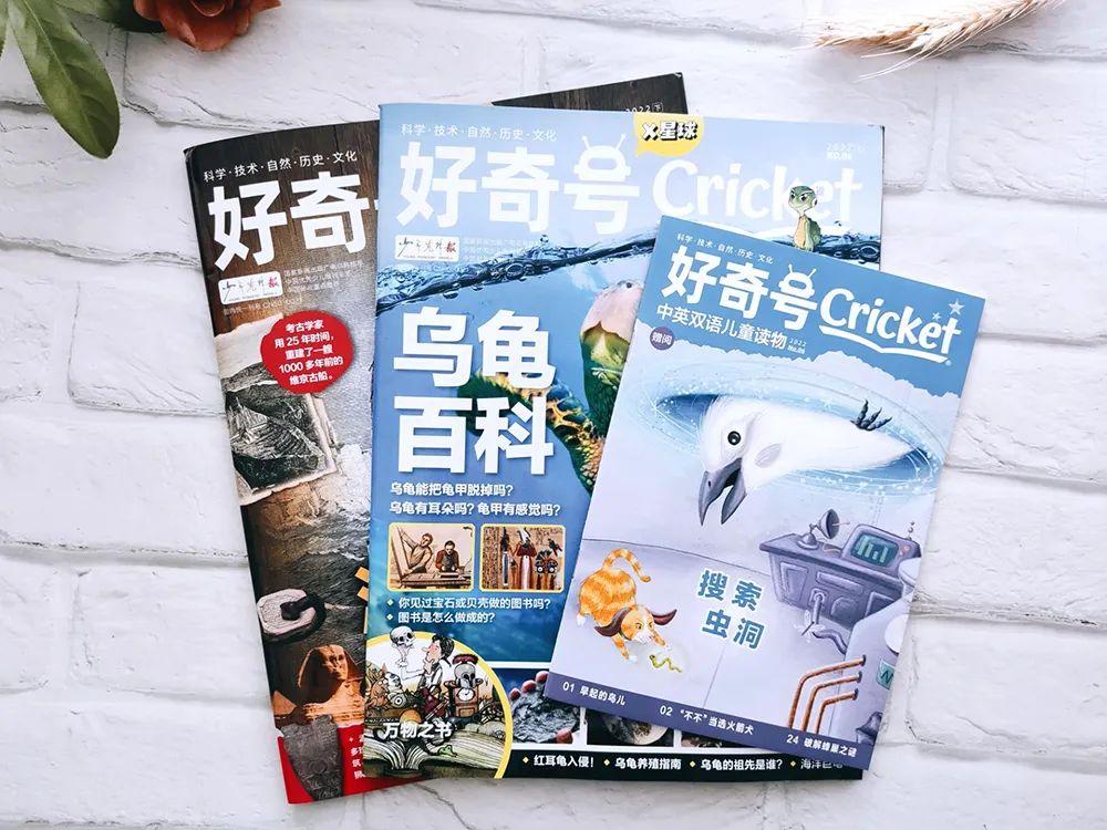 小学英语科普汇总,一张表搞定小学英语