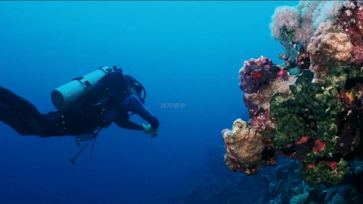 沙特王室资产90万亿美元,沙特王室的奢靡生活