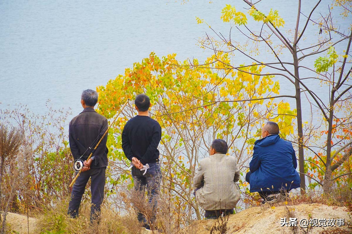 为什么近些年农村挖鱼塘养鱼的多,为什么水库养鱼比较多