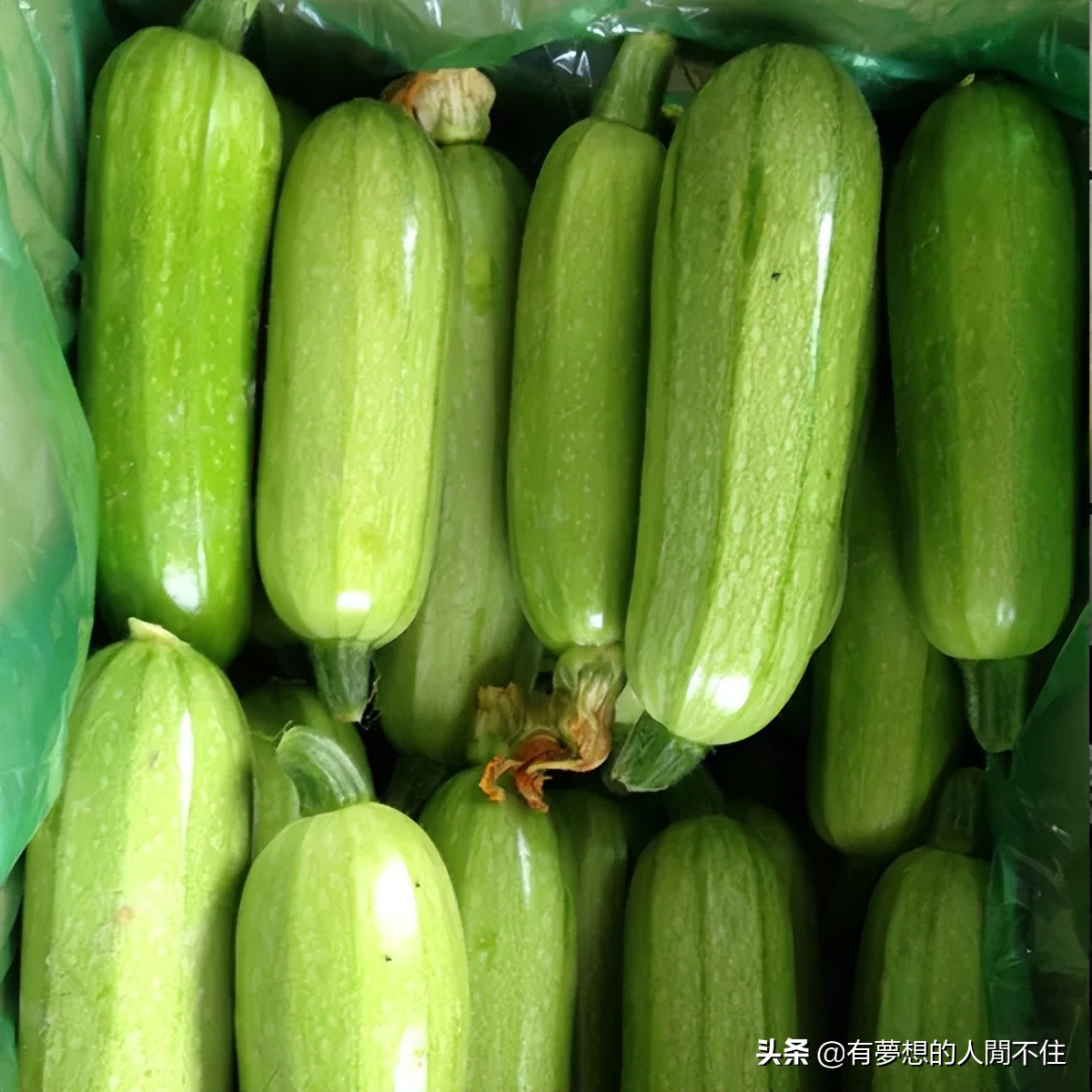 生活小妙招如何辨别食物,生活实用小妙招辨别食物真假