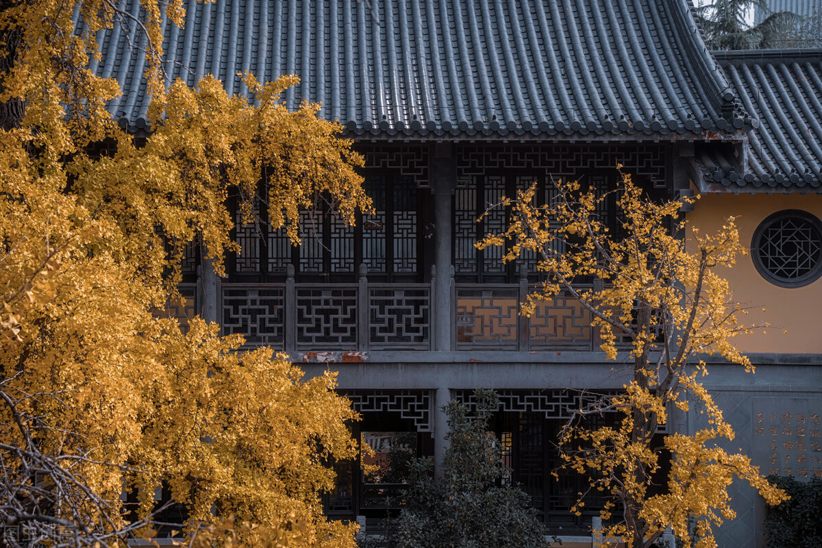 一秒沦陷！南京8个绝美古风地，刻在骨子里的浪漫，重回金陵盛世