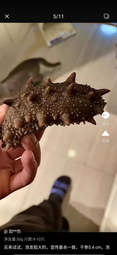 人们对游泳存在的误区,海参的迷惑行为