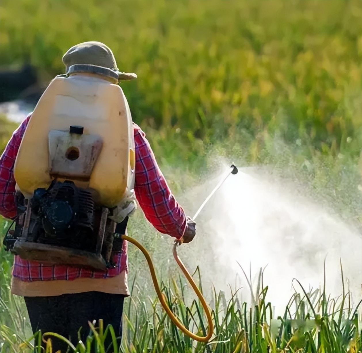 男人的精液天天都产生，不想办法排出去，会憋坏“蛋蛋”吗
