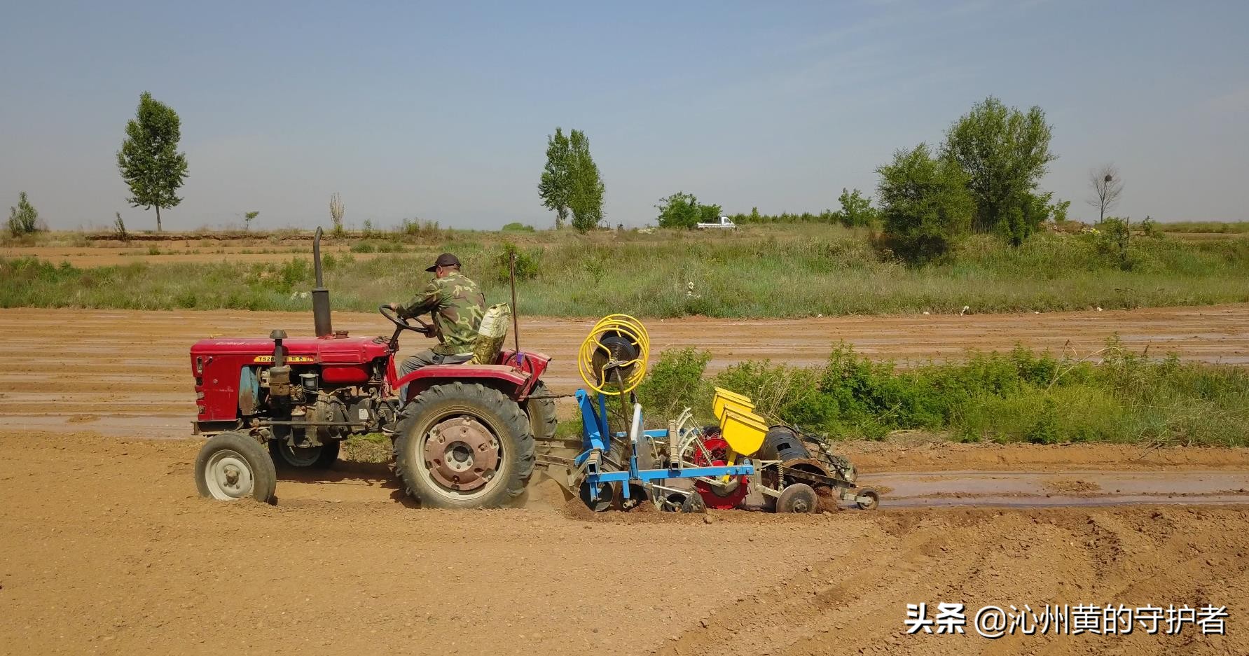 最美职工化身谷子田里“新农人”--公司超千亩连片基地春播掠影