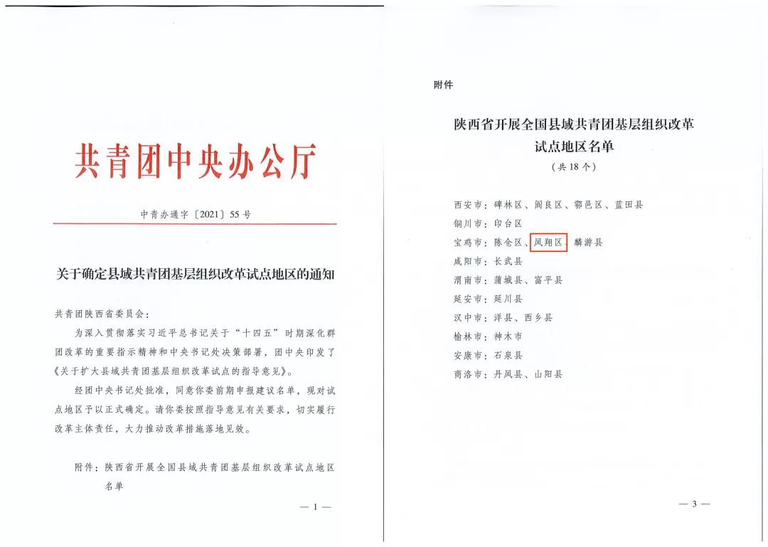 团团工作回顾,团团现在的工作