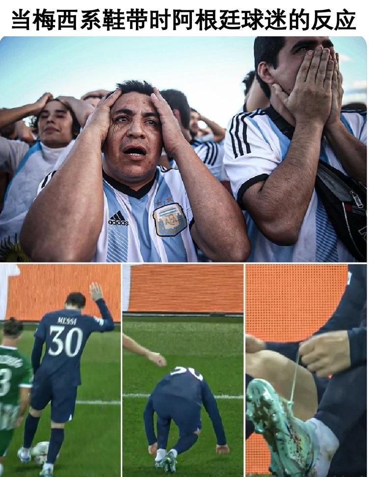 卡塔尔世界杯你要知道的,关于卡塔尔世界杯的小知识