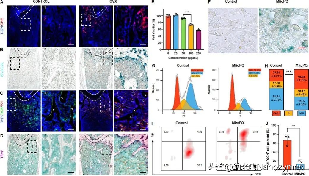 nanotoday期刊,nanotoday官网