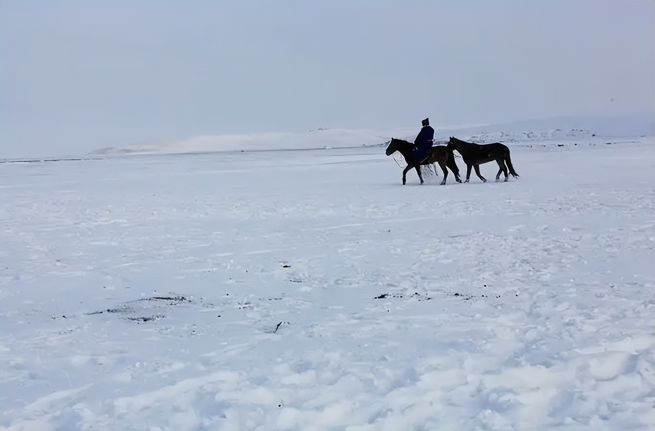 倪匡的江湖,倪匡风流才子