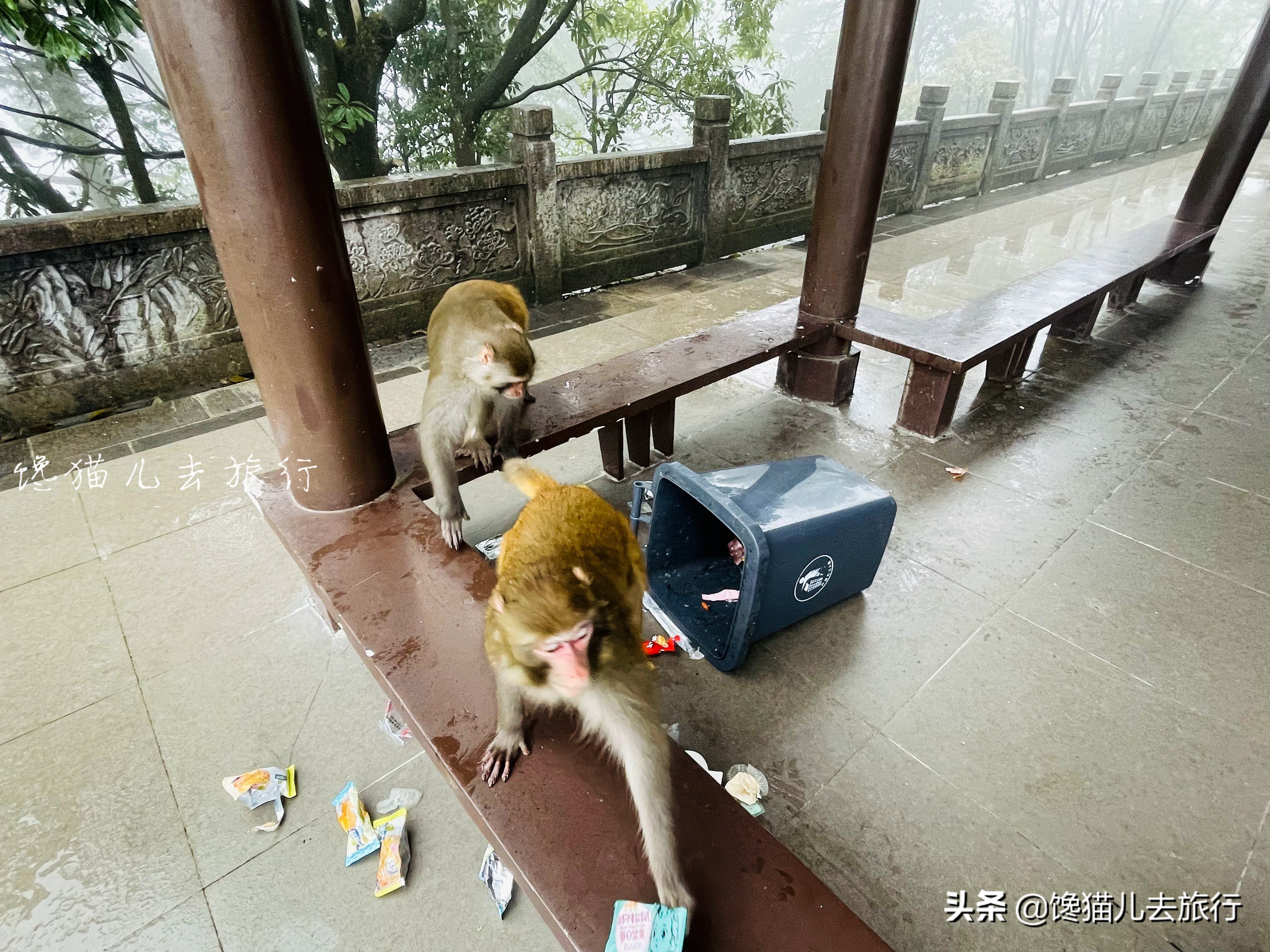 去张家界有什么忌讳,去张家界要注意什么安全