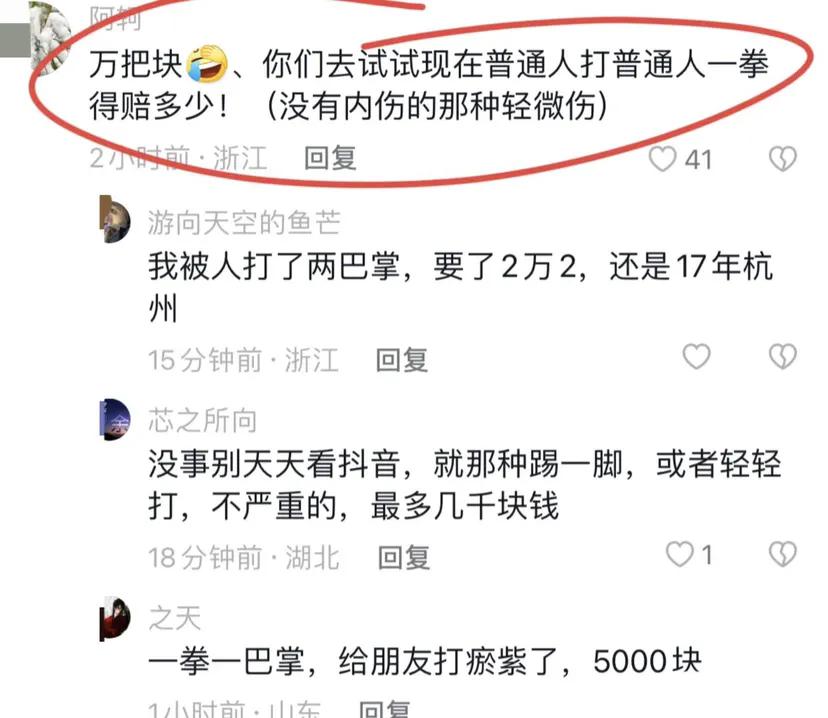 王思聪打人赔偿209万搞笑模板,王思聪打人赔209万真的假的