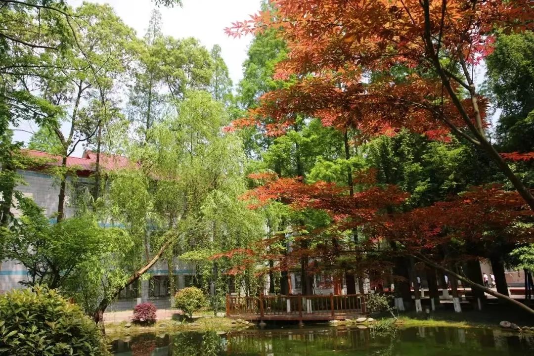 成都市金牛区成都七中八一学校,成都金牛区七中八一高中