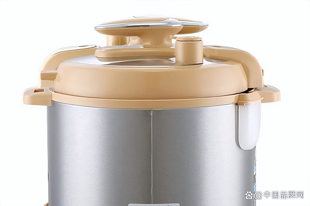 哪个品牌电压力锅性价比高又实惠,哪个品牌的压力煲质量好