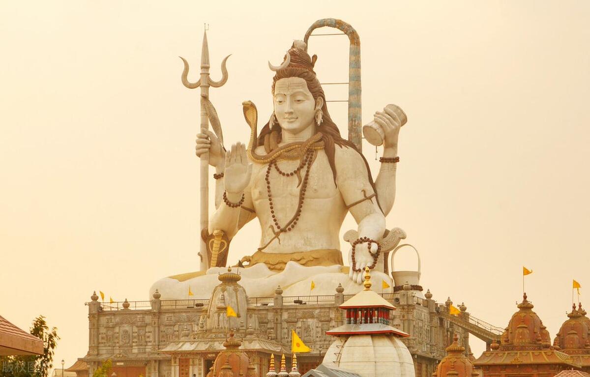 蛇进化成爬行动物,爬行动物巨蛇