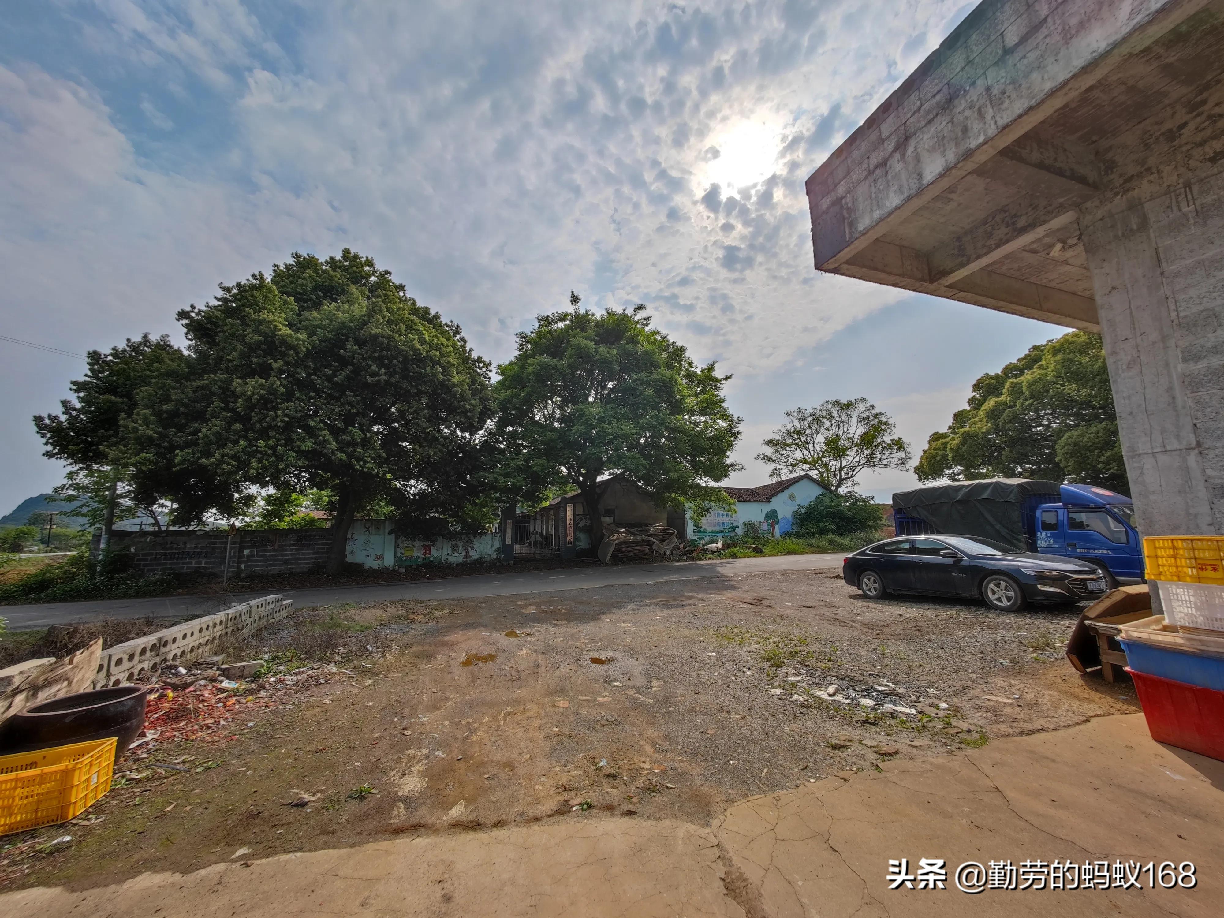 小米11ultra3999值得买吗,小米11ultra和荣耀magic4