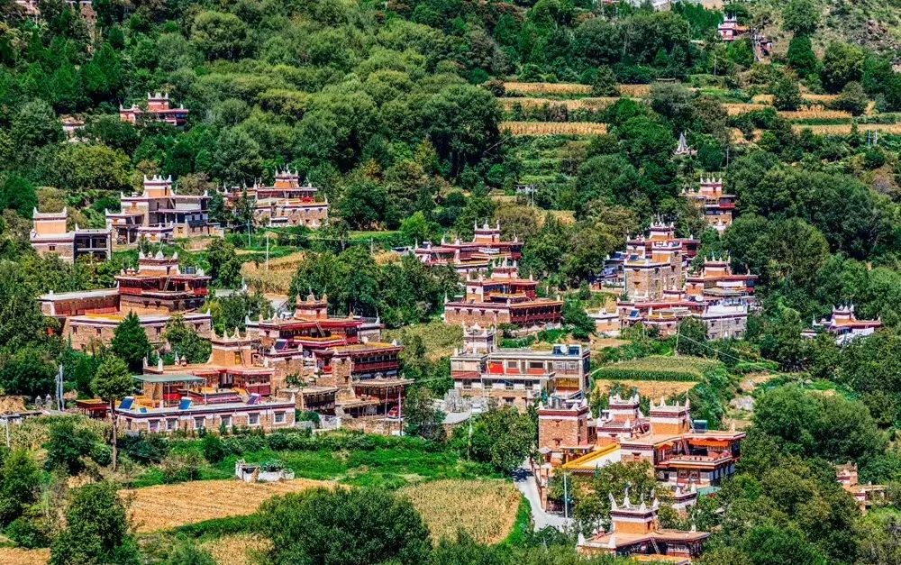 火出圈啦,甘孜文旅局长化身侠客火出圈