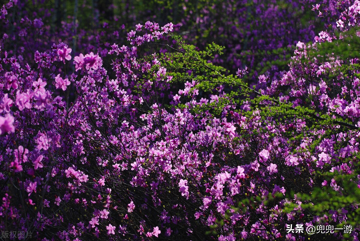 山顶天然龙洞,半山腰千佛洞