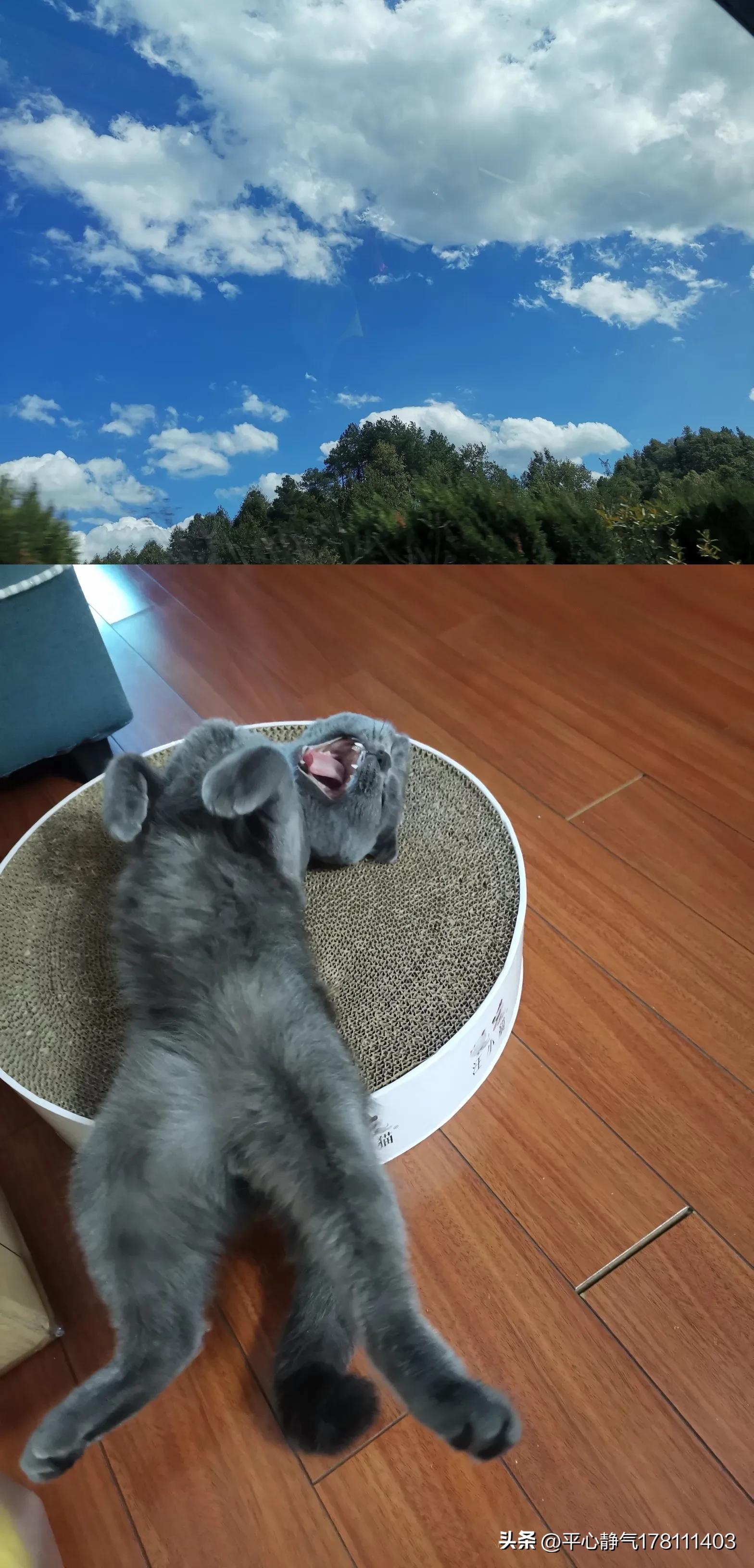 怎么制作漂亮的书签,怎么制作漂亮的手机壳