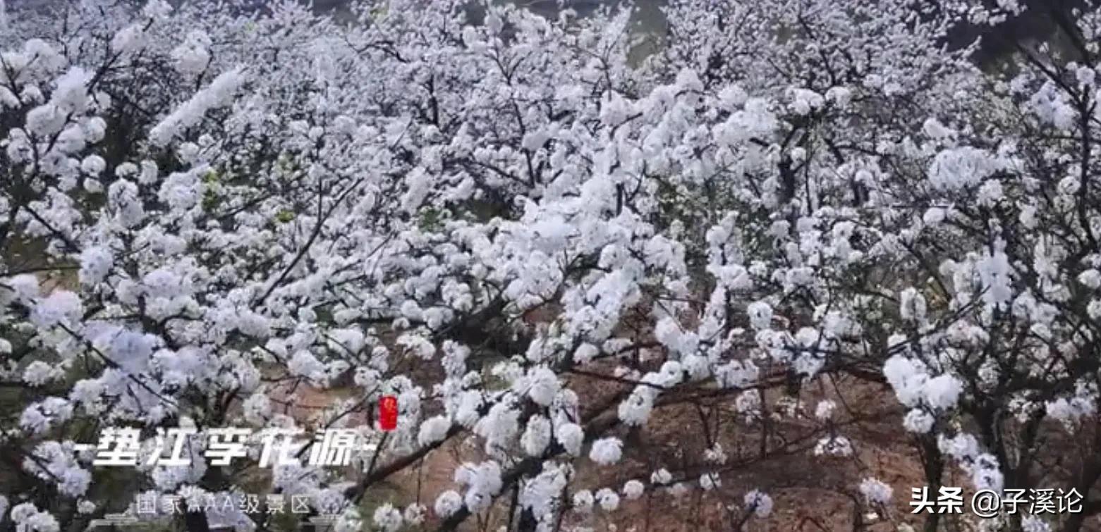 崛起之路—重庆垫江