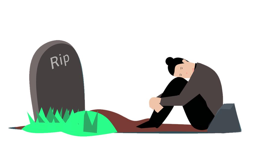 如何正确对待宠物离世,宠物离世如何缓解情绪