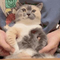 1台电脑能同时登录2个微信吗,微信能不能同时在两台电脑上登录