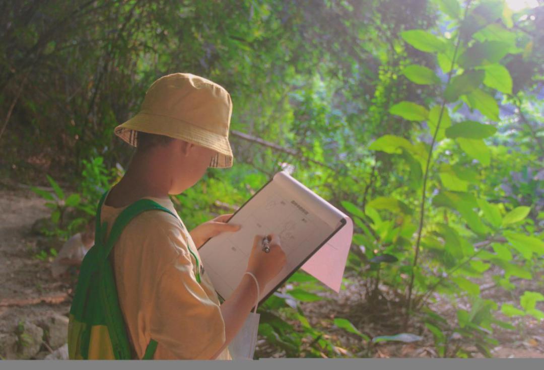 端午假期光明活动超精彩！音乐live、摘荔枝、包粽子……等你解锁！