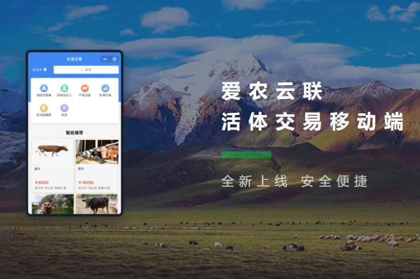 买牛必背口诀,如何买牛基础知识