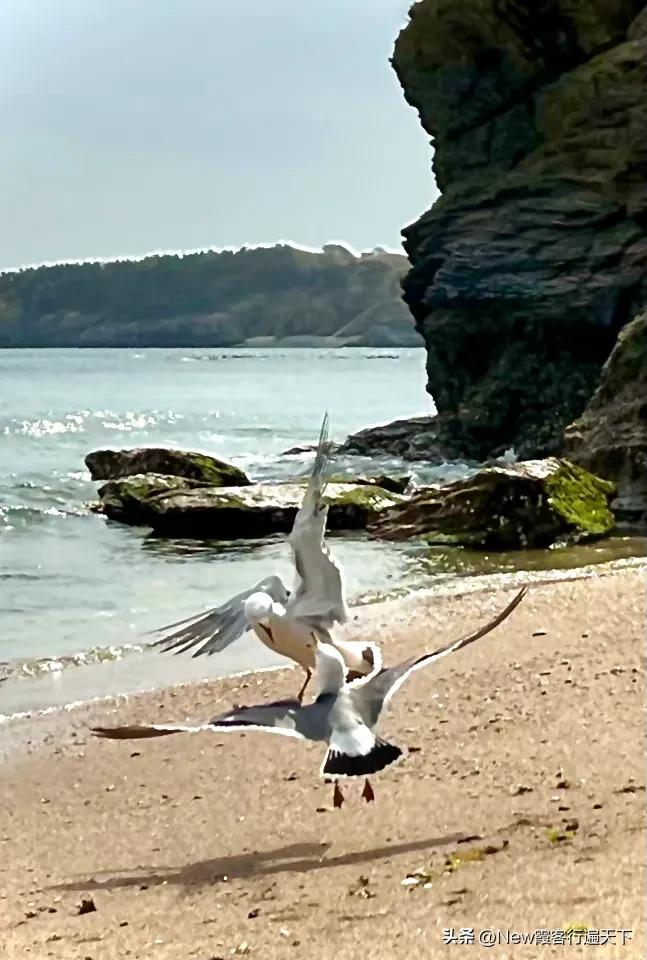 大连滨海路木栈道旅游攻略,周末徒步徜徉大连山海美景