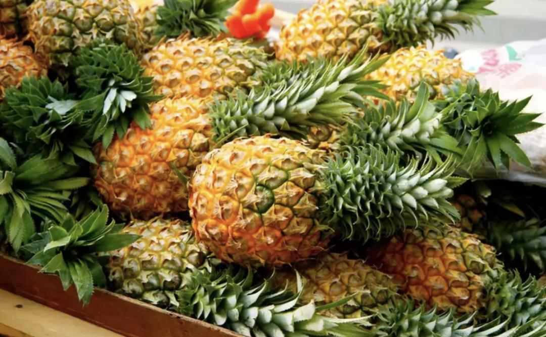 泡了盐水的菠萝吃了舌头疼,为什么吃菠萝要在盐水里泡一泡