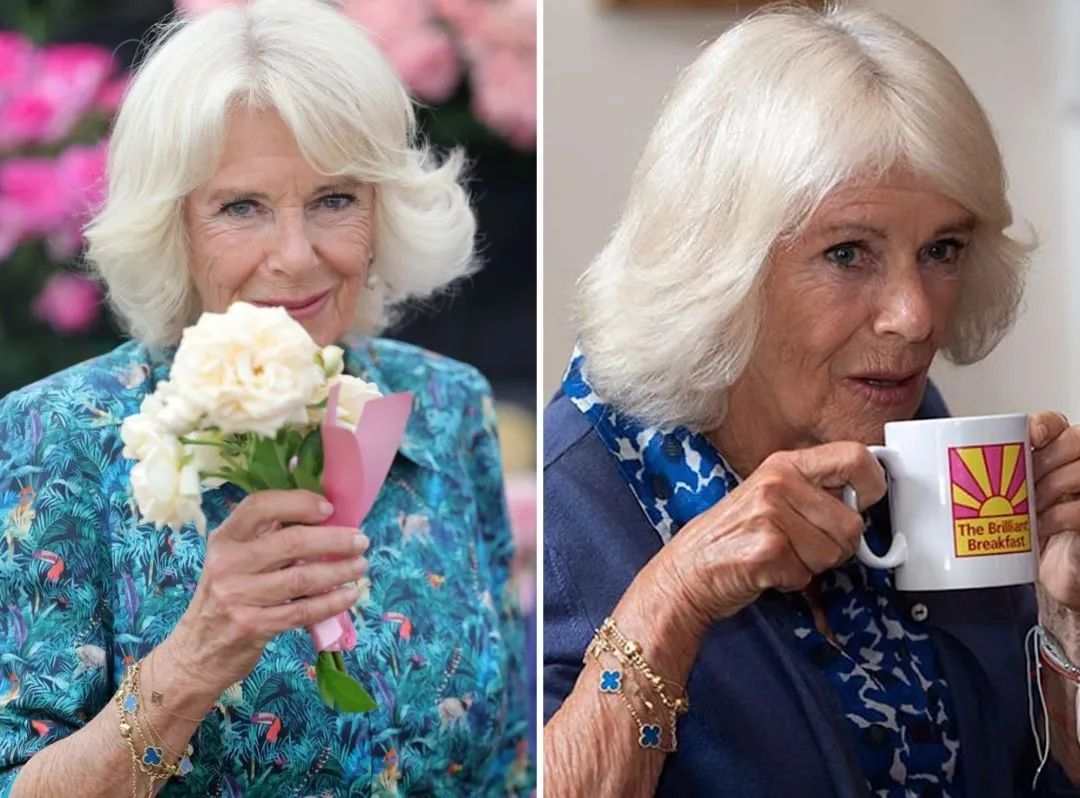 卡米拉出尽风头,卡米拉靠什么被女王认可