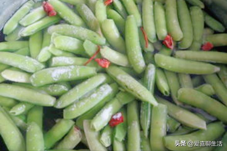 俗语：五月吃豆胜吃肉，5月该吃什么豆？这3种正大量上市，别错过