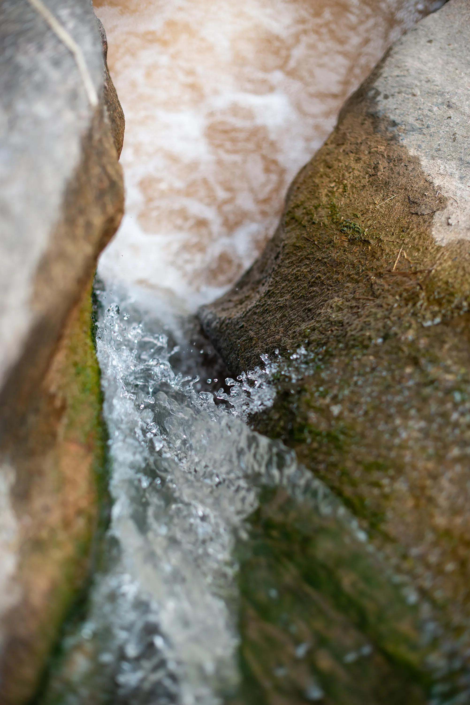 尼康调出油润感,尼康油润点的镜头