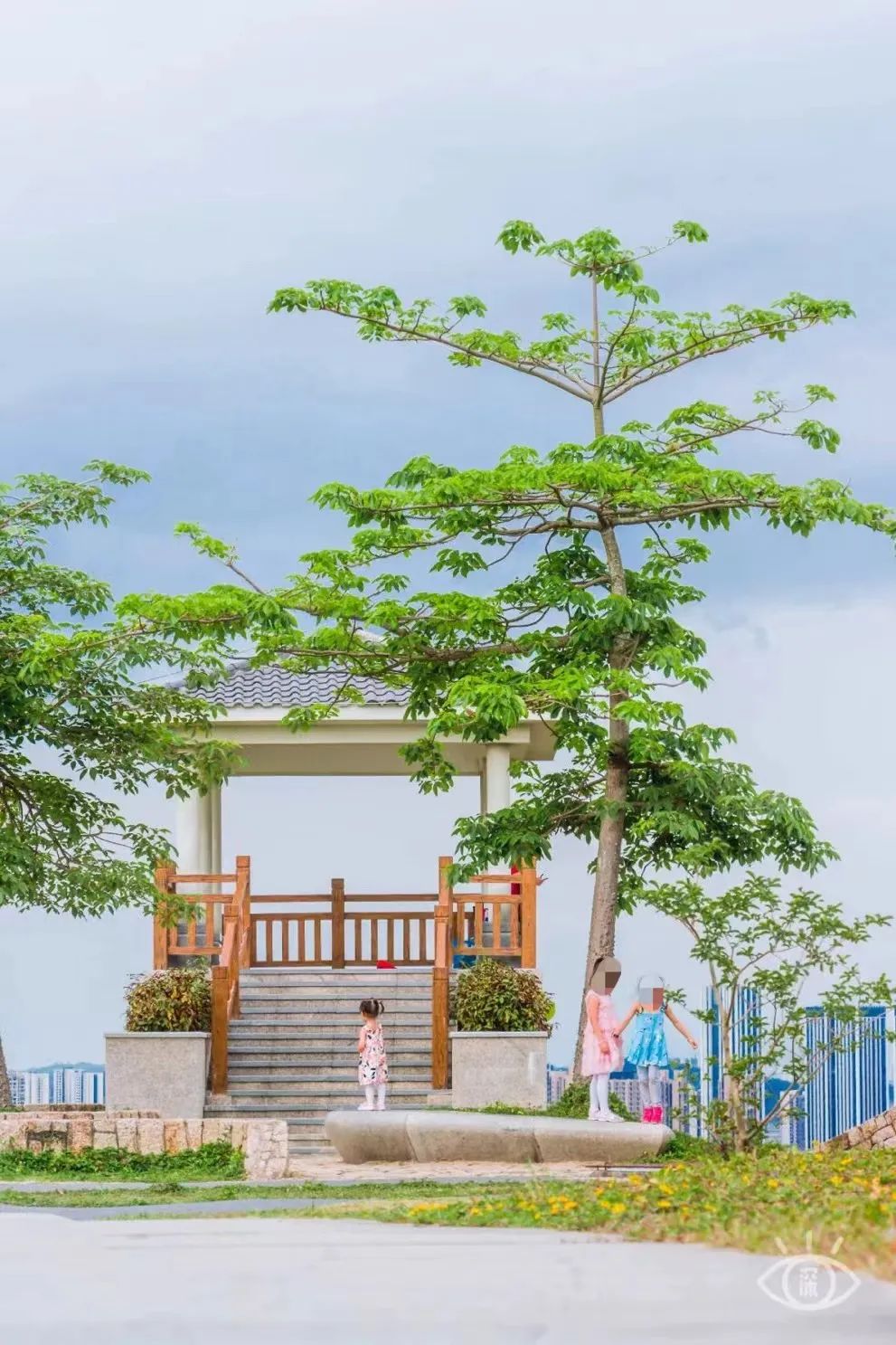 深圳10公里跑步路线,深圳跑步路线推荐塑胶跑道