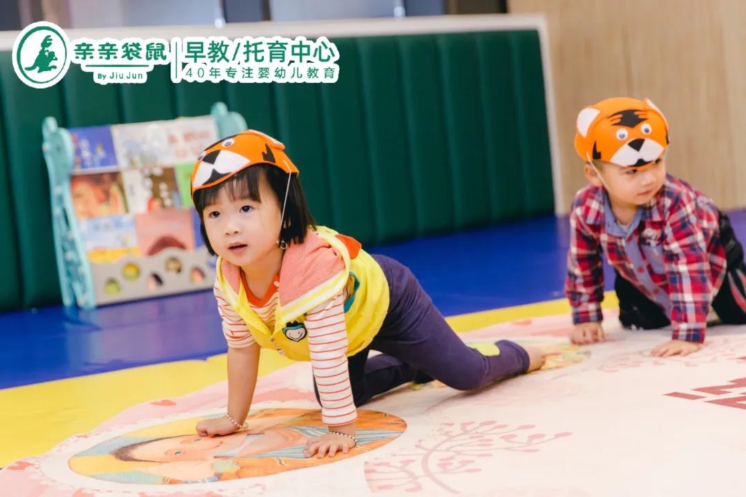 袋鼠育儿法启示,袋鼠式育儿教学视频