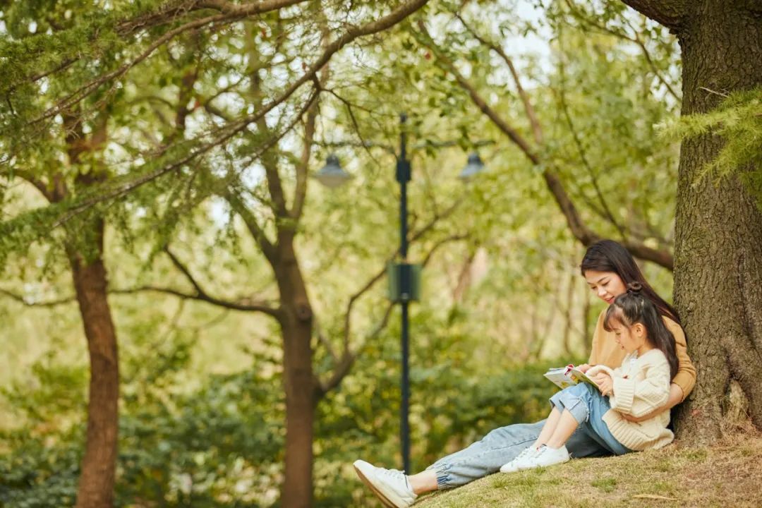 闻不到书香的家庭，再有钱也守不住