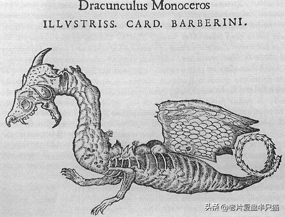 哥斯拉20个泰坦解析,哥斯拉2泰坦巨兽彩蛋