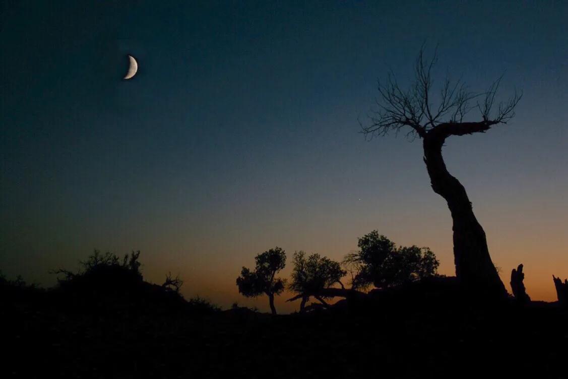 如果胃没有思念的地方，人生也将索然无味