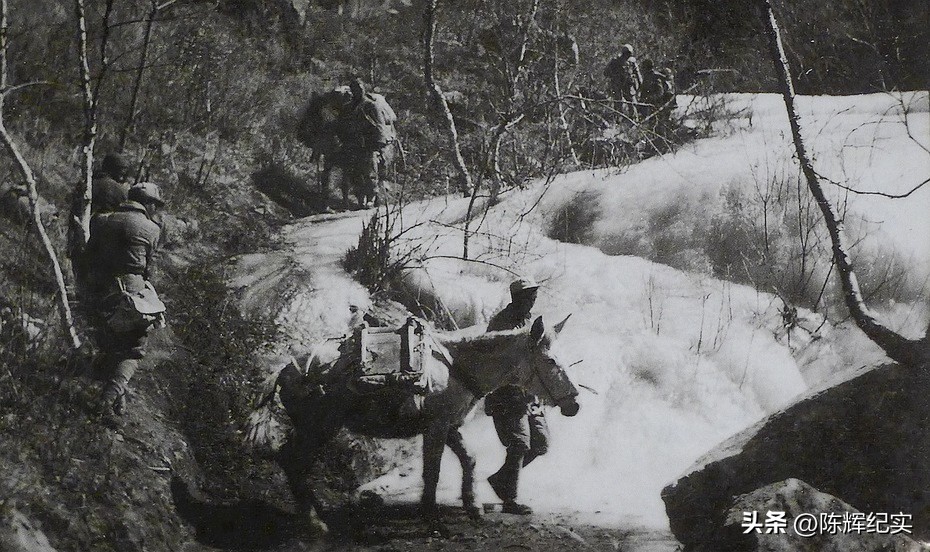 英国皇家卫兵前往乌克兰参战,英国贵族冲锋在前