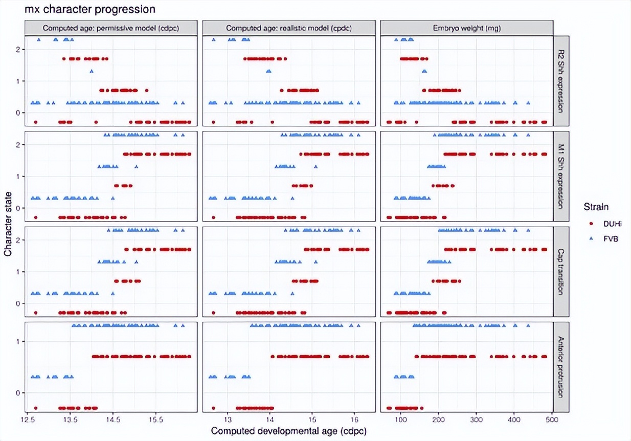 基于小鼠磨牙进化演变，研究其发育变异性通道的进化过程
