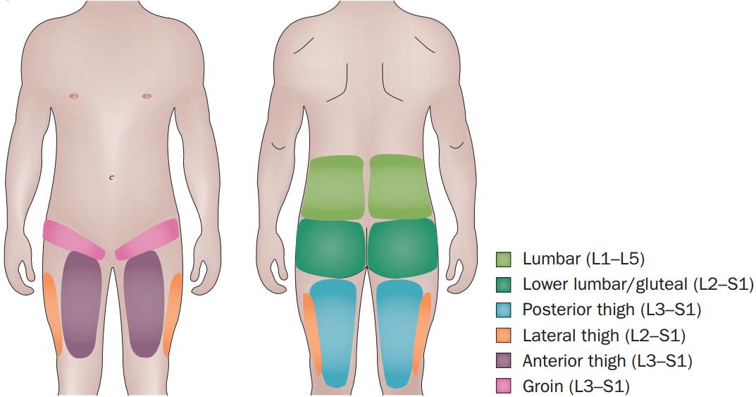 脊柱的神经支配,脊柱神经引起手臂疼痛