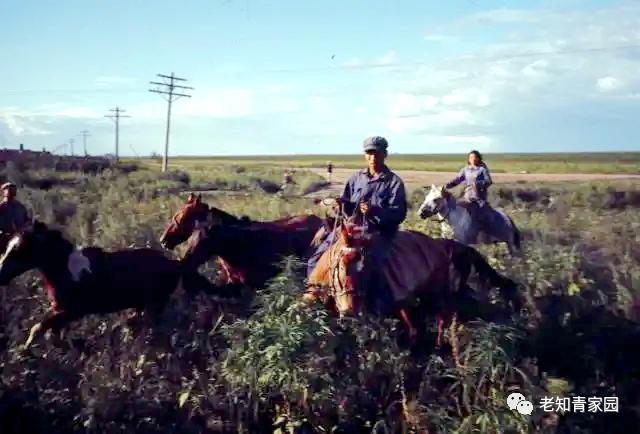 北大荒知青生活叙事诗——北大荒“游击词”100篇