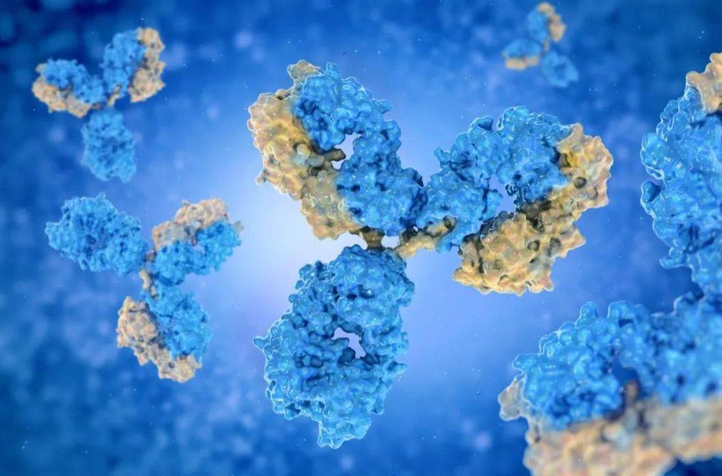 过敏性紫癜出血点越来越多,过敏性紫癜出血点的特征是怎样的