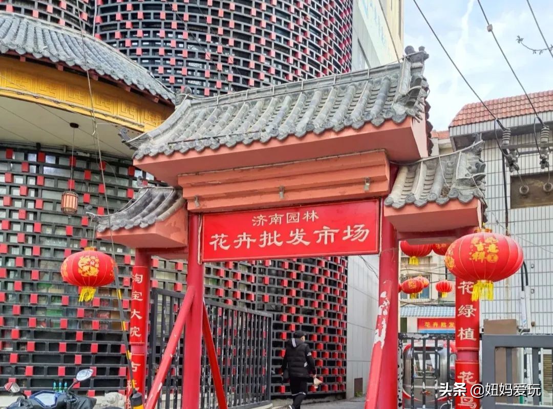 济南市市中区花鸟鱼虫市场在哪里,济南凤凰山花鸟鱼虫市场
