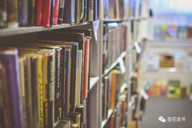 纳瓦尔宝典深度解析,纳瓦尔宝典向我们讲述了什么