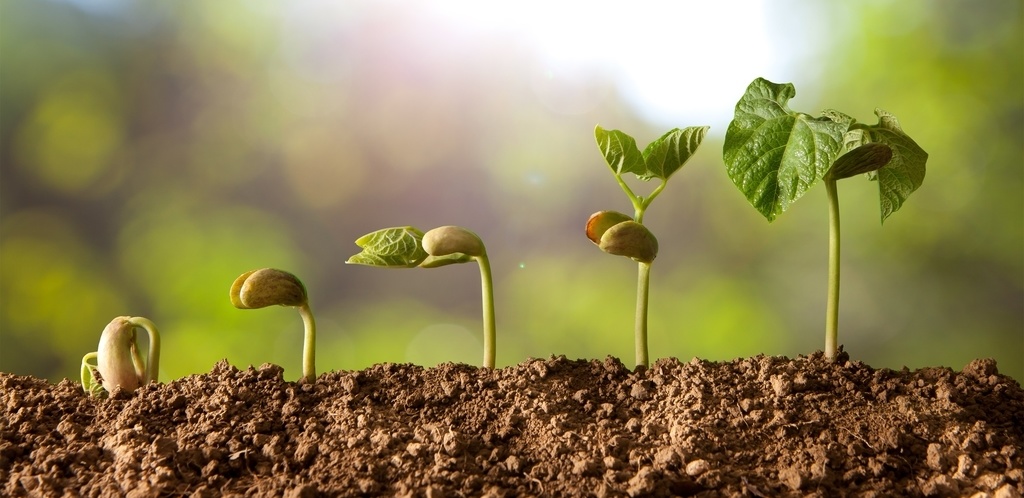 3元一个汉堡利润,3个汉堡10元还有钱赚吗