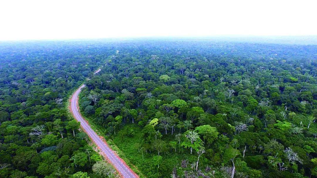 五十二回-【非洲刚果（金）】-刚果民主共和国