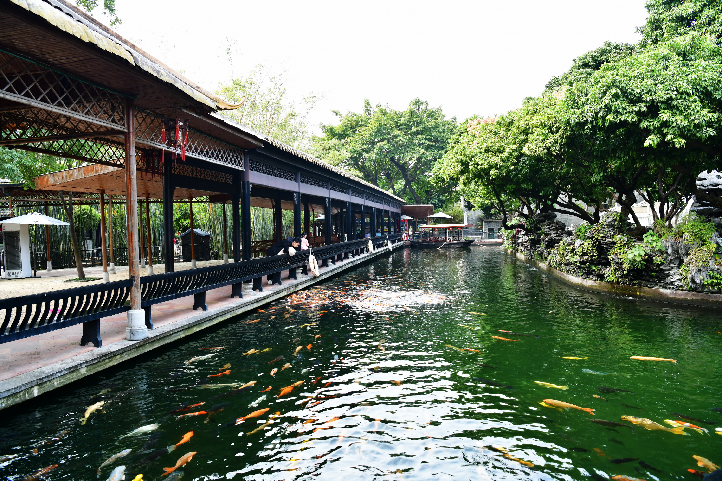 广州市番禺区宝墨园攻略,广州宝墨园景观