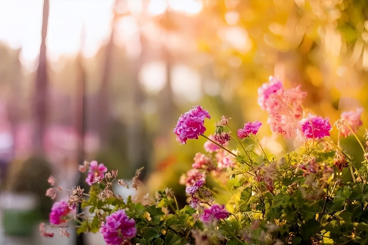 男人对你忽冷忽热但是又不分手,男人对你忽冷忽热女人怎么做