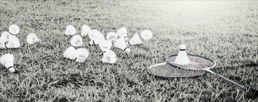 走进羽毛球,走进羽毛球运动