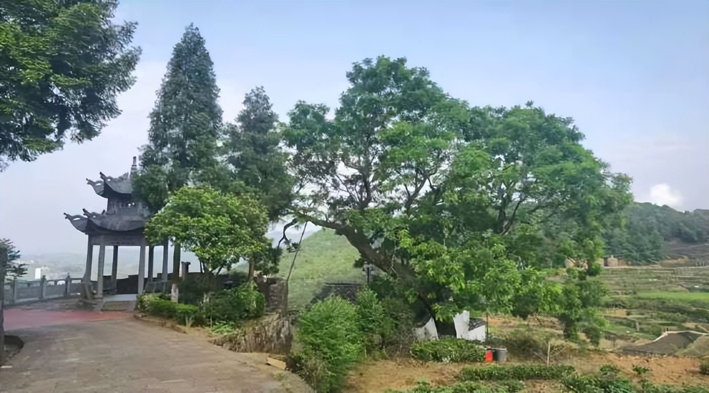 磐安乌石村免费景点,磐安乌石村夜景