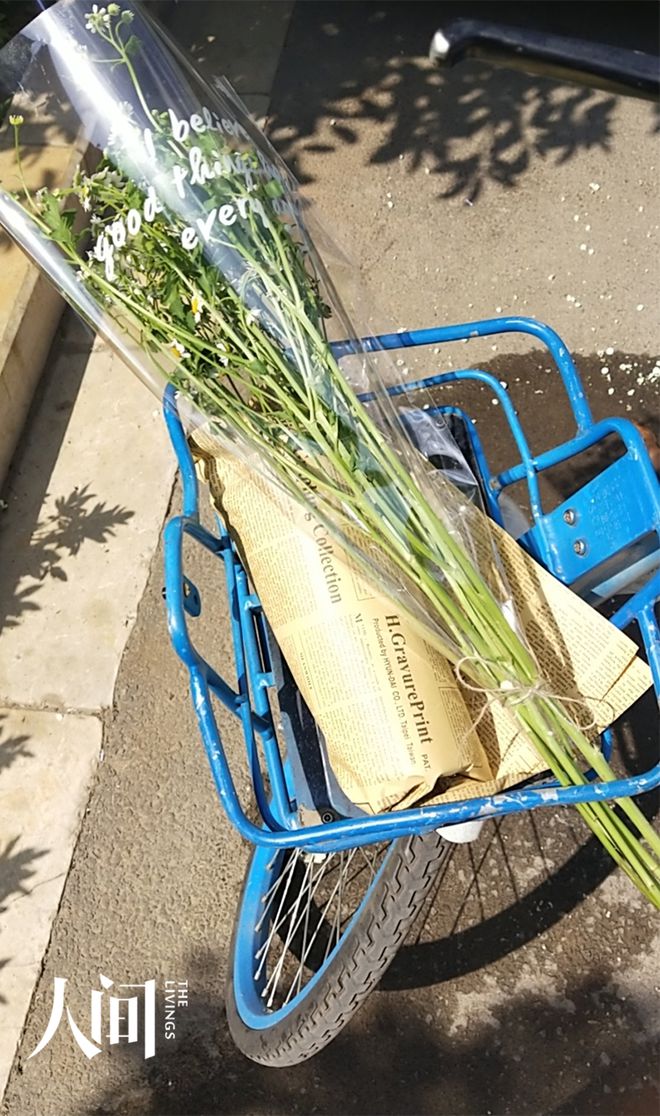 一心想挣钱却被骗了,一心想赚大钱却深陷债务漩涡